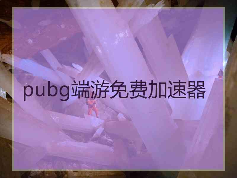 pubg端游免费加速器