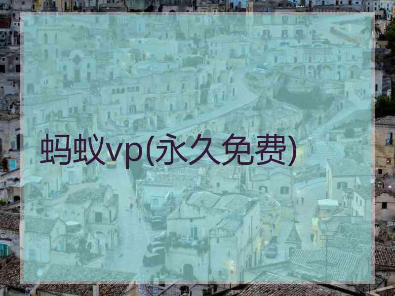 蚂蚁vp(永久免费)