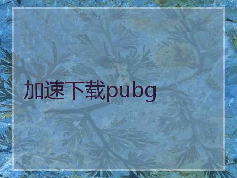 加速下载pubg