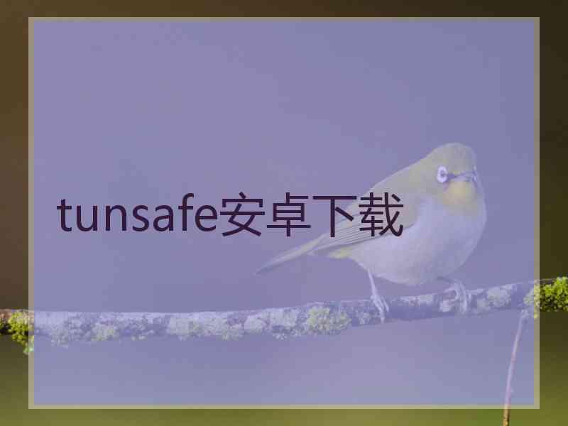 tunsafe安卓下载