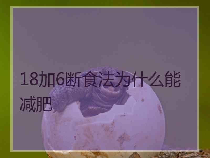 18加6断食法为什么能减肥