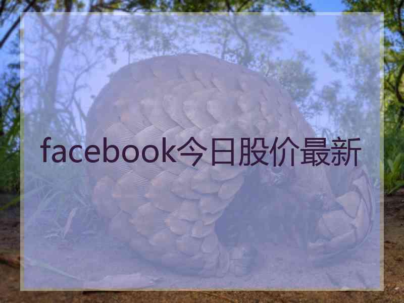 facebook今日股价最新