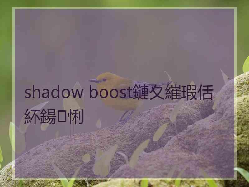 shadow boost鏈夊繀瑕佸紑鍚悧