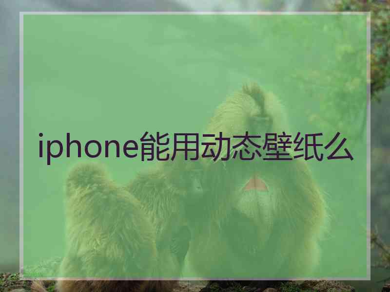 iphone能用动态壁纸么