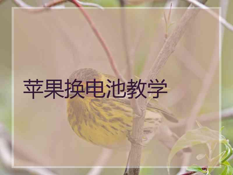 苹果换电池教学