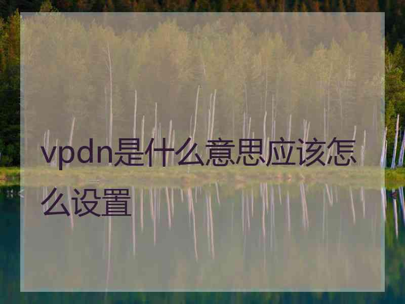 vpdn是什么意思应该怎么设置