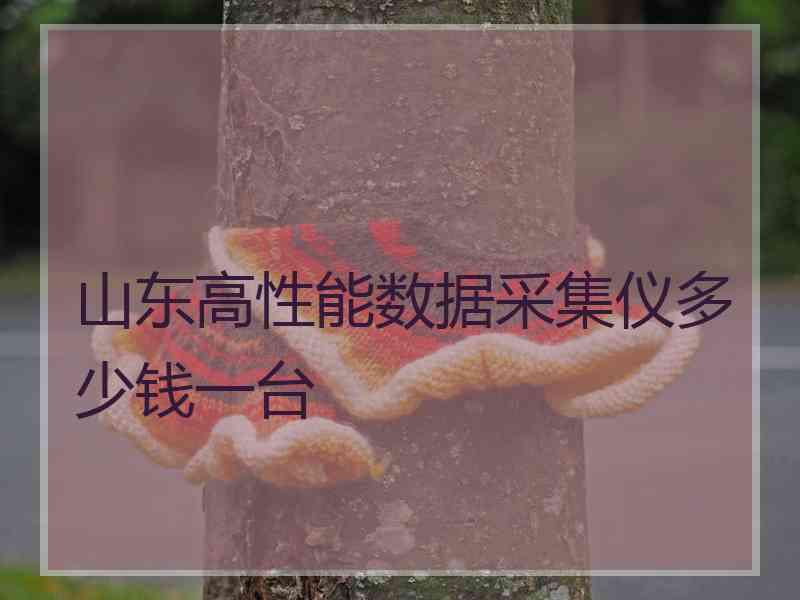 山东高性能数据采集仪多少钱一台