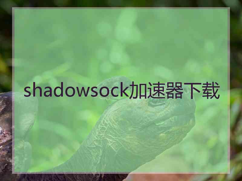 shadowsock加速器下载