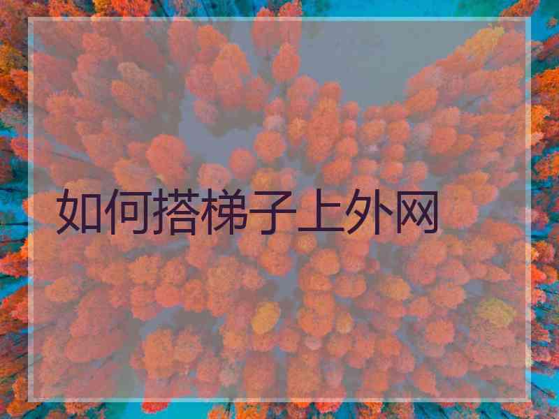 如何搭梯子上外网