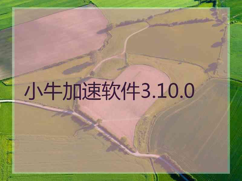 小牛加速软件3.10.0