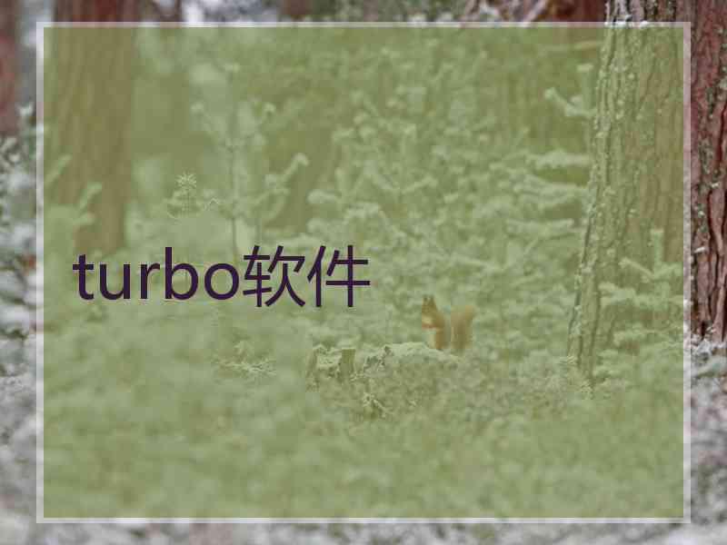 turbo软件