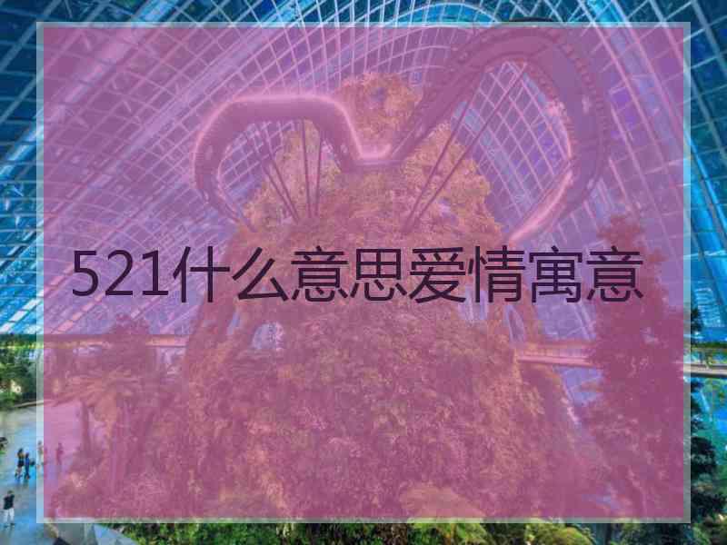 521什么意思爱情寓意