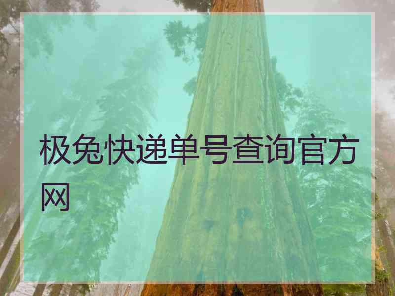 极兔快递单号查询官方网