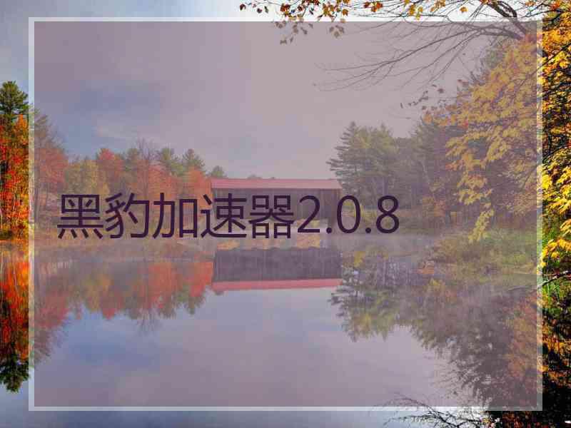 黑豹加速器2.0.8