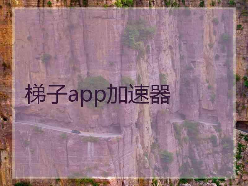 梯子app加速器