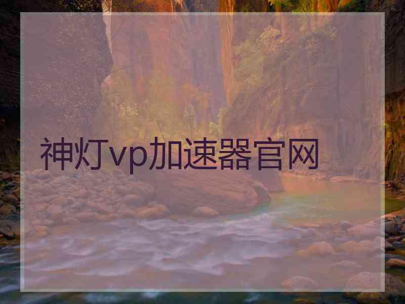 神灯vp加速器官网