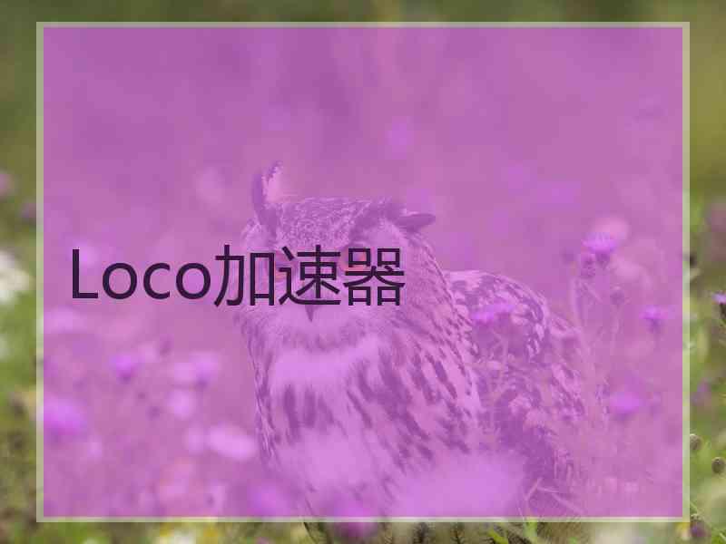 Loco加速器