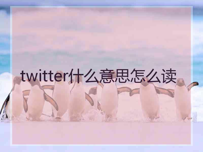 twitter什么意思怎么读