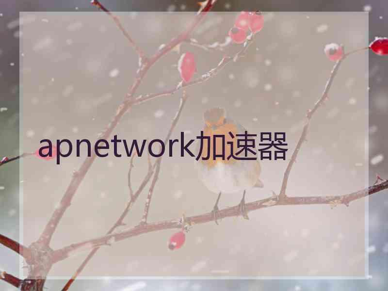 apnetwork加速器