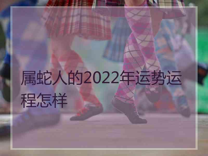 属蛇人的2022年运势运程怎样