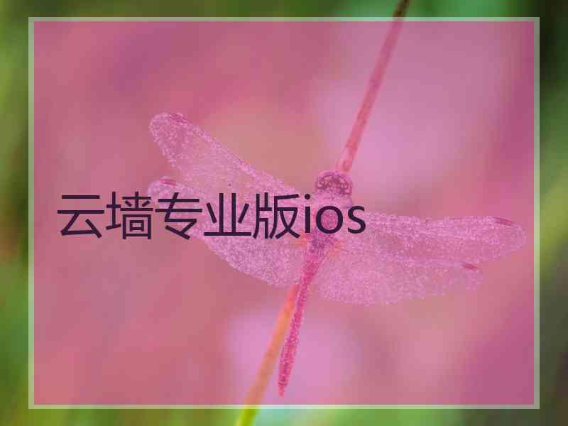 云墙专业版ios