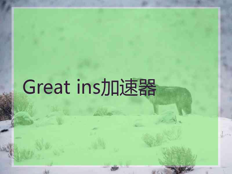 Great ins加速器