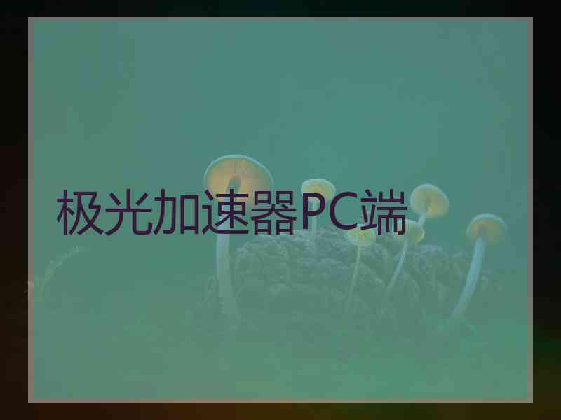 极光加速器PC端