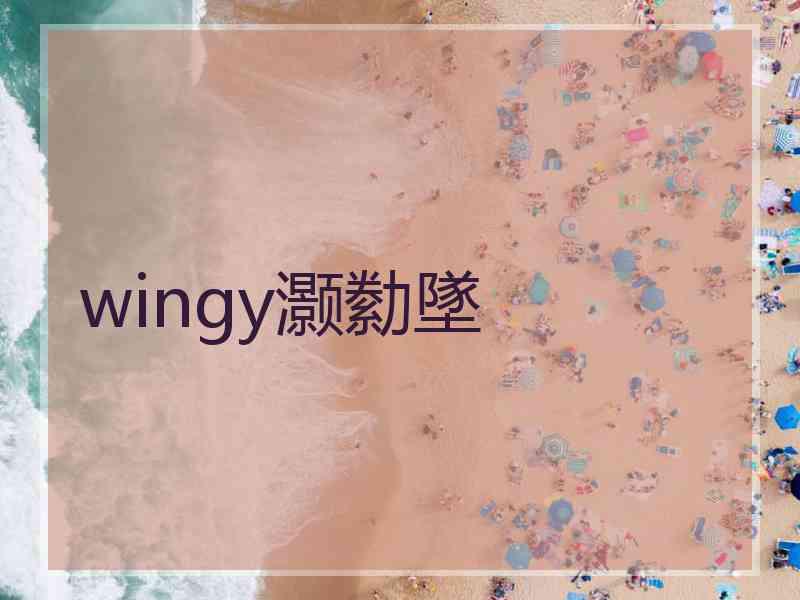 wingy灏勬墜