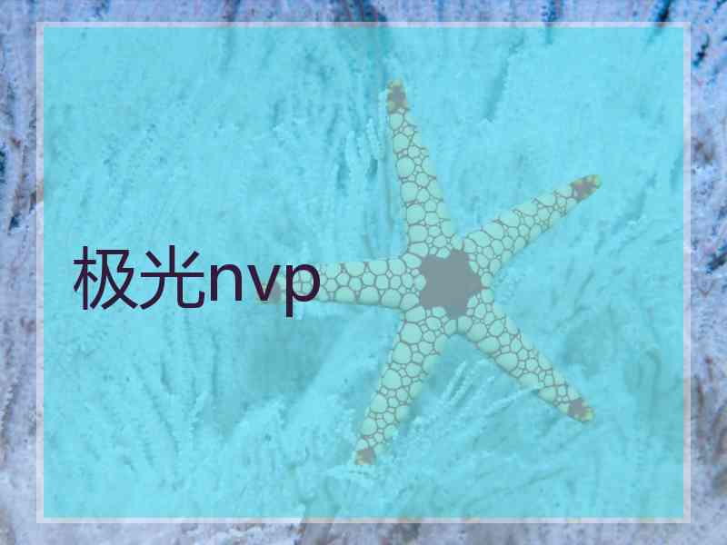 极光nvp