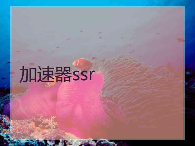 加速器ssr