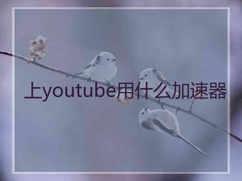 上youtube用什么加速器