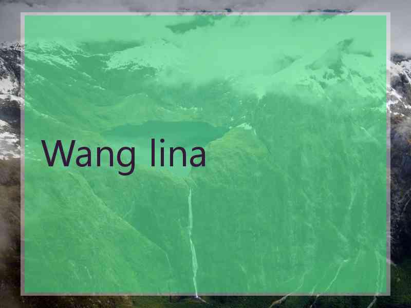 Wang lina