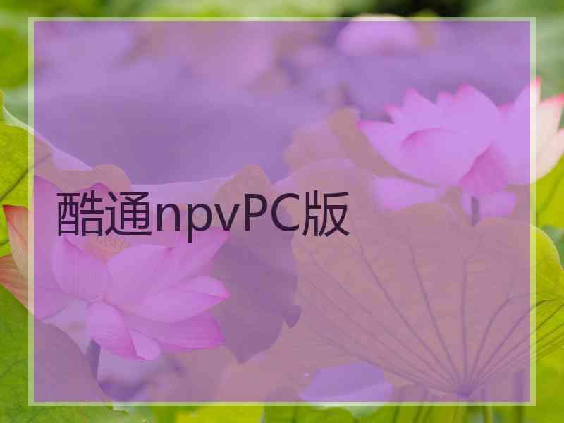 酷通npvPC版