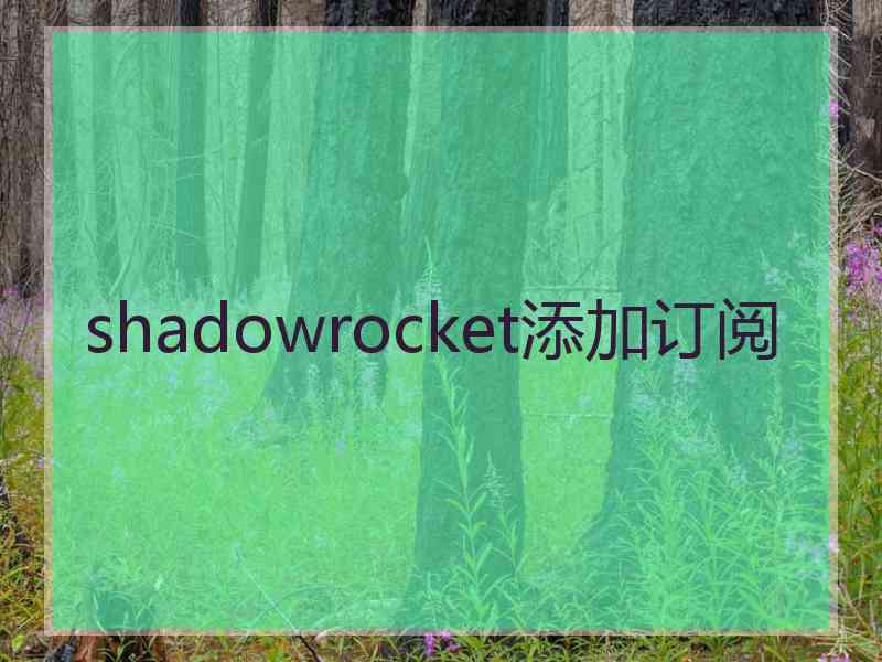 shadowrocket添加订阅