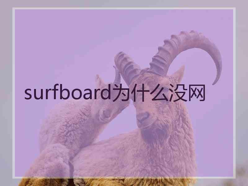 surfboard为什么没网