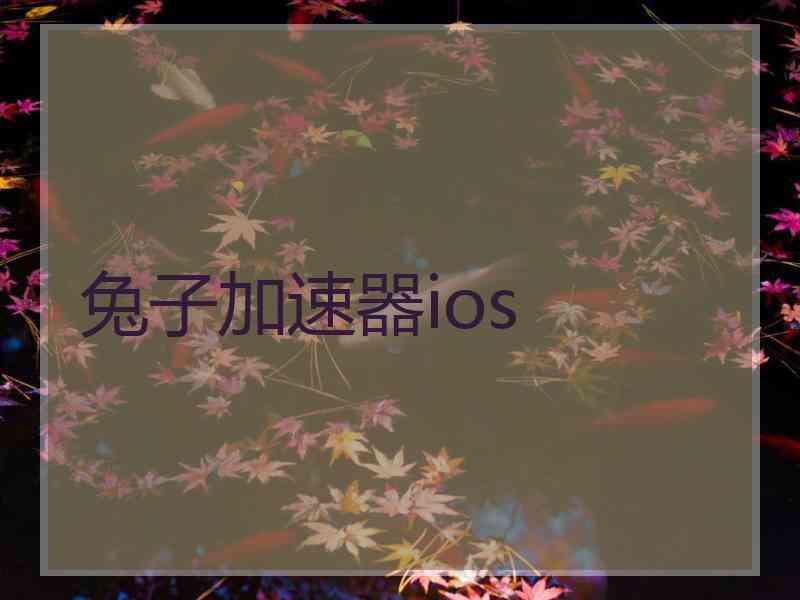 兔子加速器ios