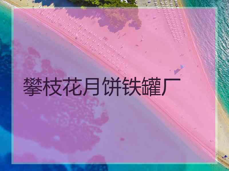 攀枝花月饼铁罐厂