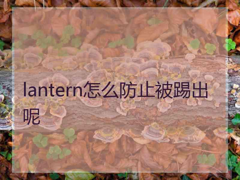 lantern怎么防止被踢出呢