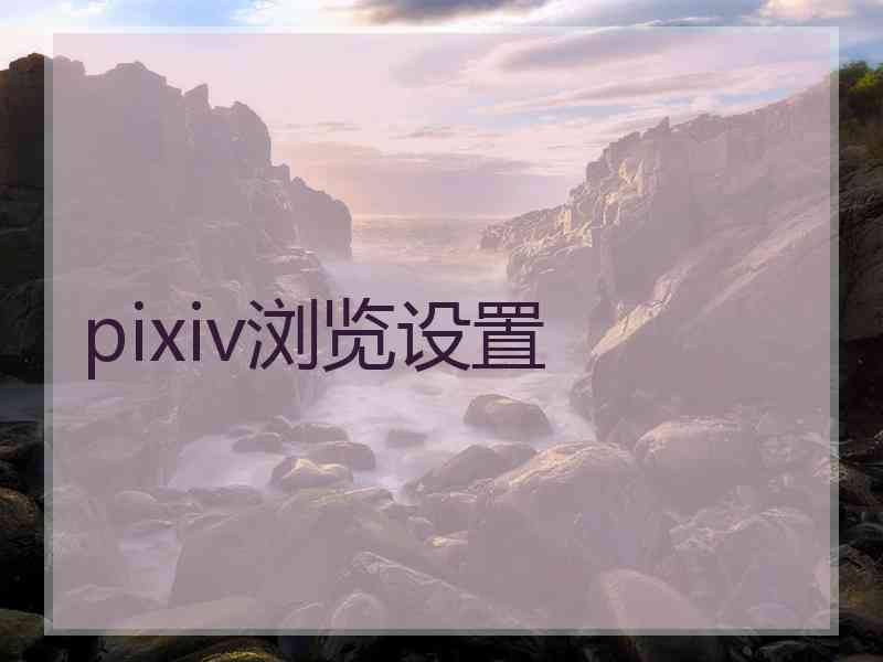 pixiv浏览设置