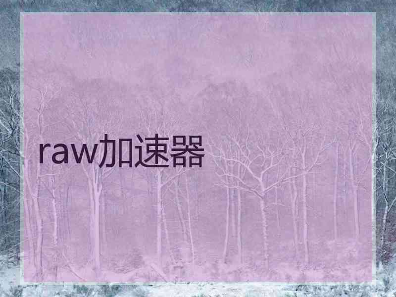 raw加速器