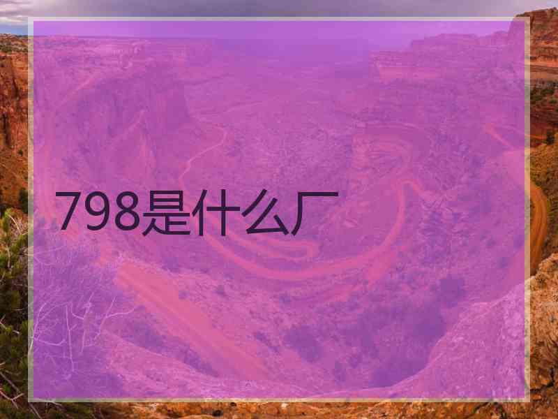 798是什么厂