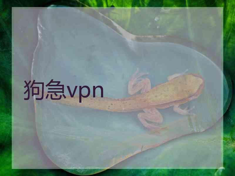 狗急vpn