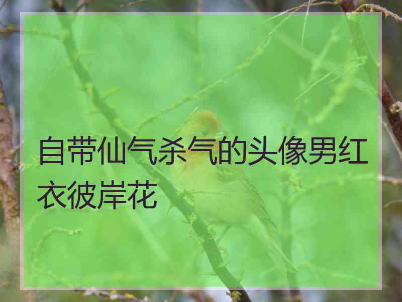 自带仙气杀气的头像男红衣彼岸花