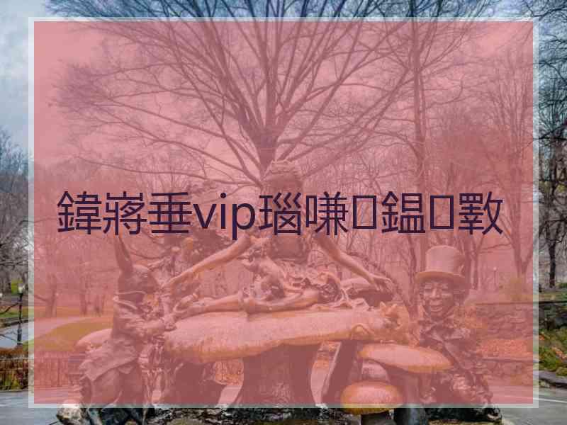 鍏嶈垂vip瑙嗛鎾斁