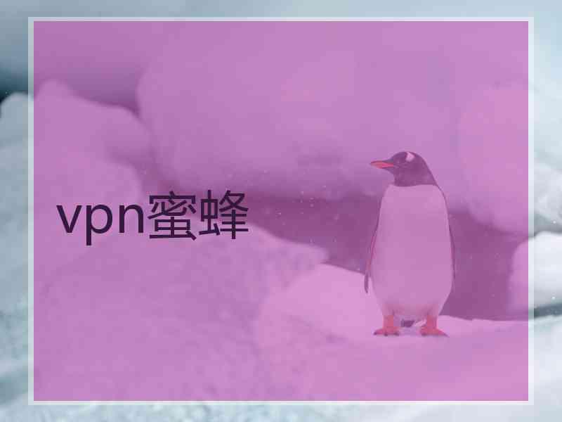 vpn蜜蜂