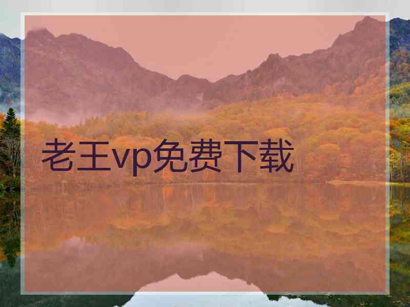 老王vp免费下载