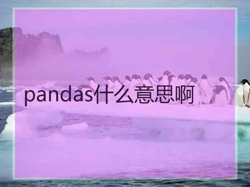 pandas什么意思啊