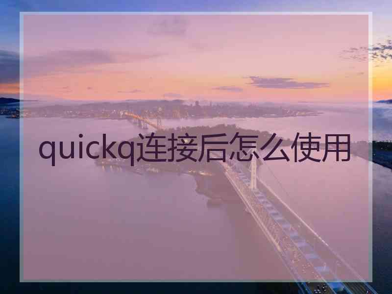 quickq连接后怎么使用