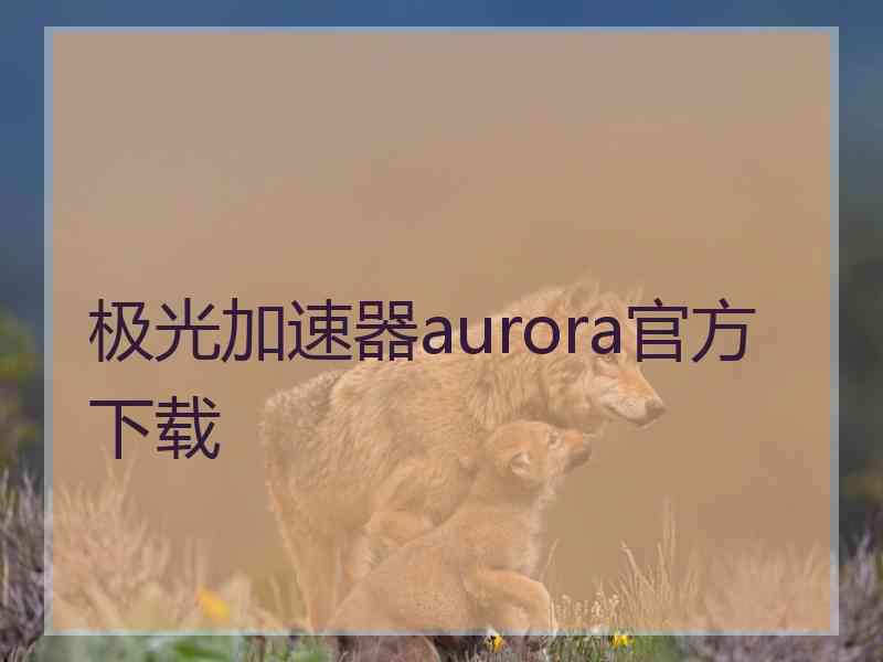 极光加速器aurora官方下载