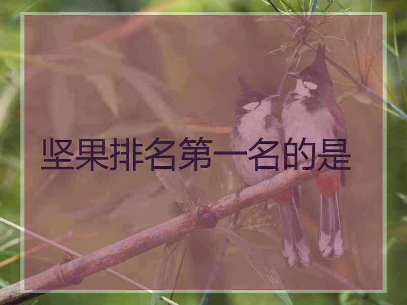 坚果排名第一名的是